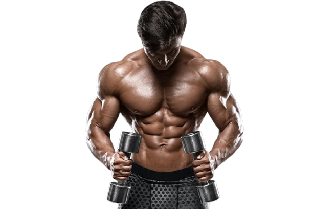 Fitness Model